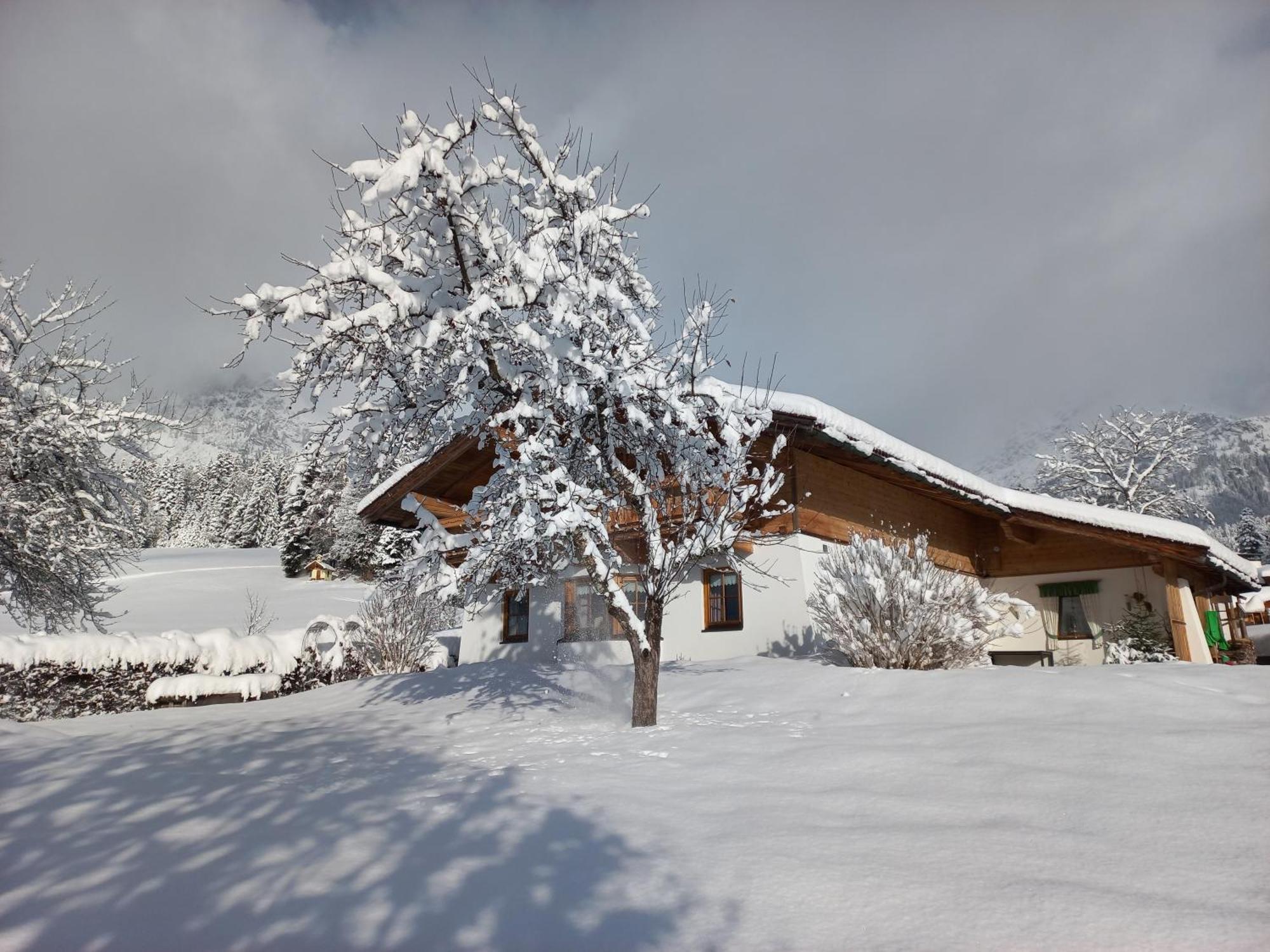 Chalet Gluecklich Sein... المو المظهر الخارجي الصورة